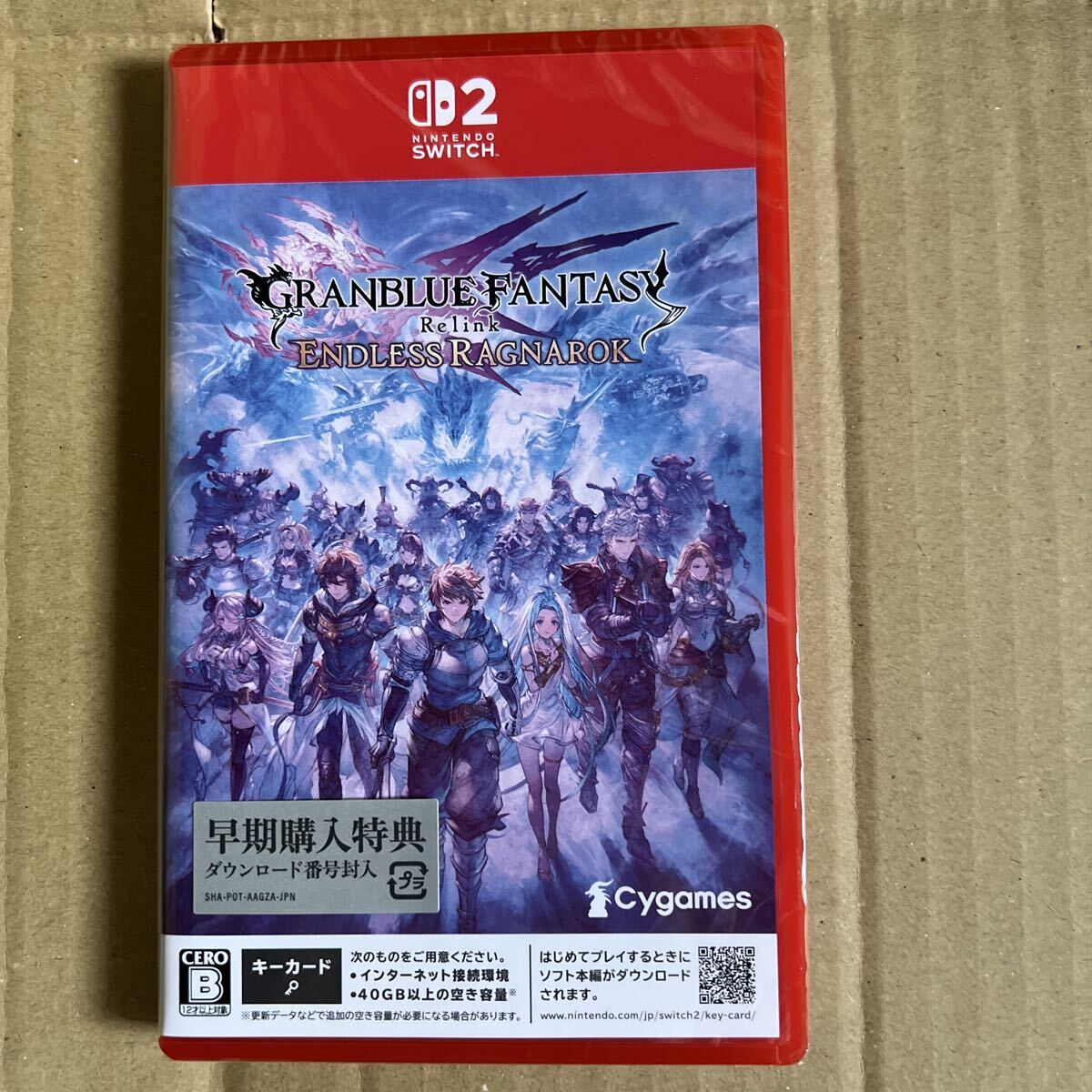 未使用】グランブルーファンタジー クリアファイル グラブル