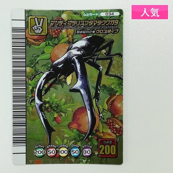 マンディブラリスフタマタクワガタ 金カード ムシキング 良品の落札