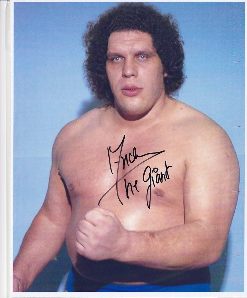 1981 ポピー スーパープロレスラーシリーズ アンドレ・ザ