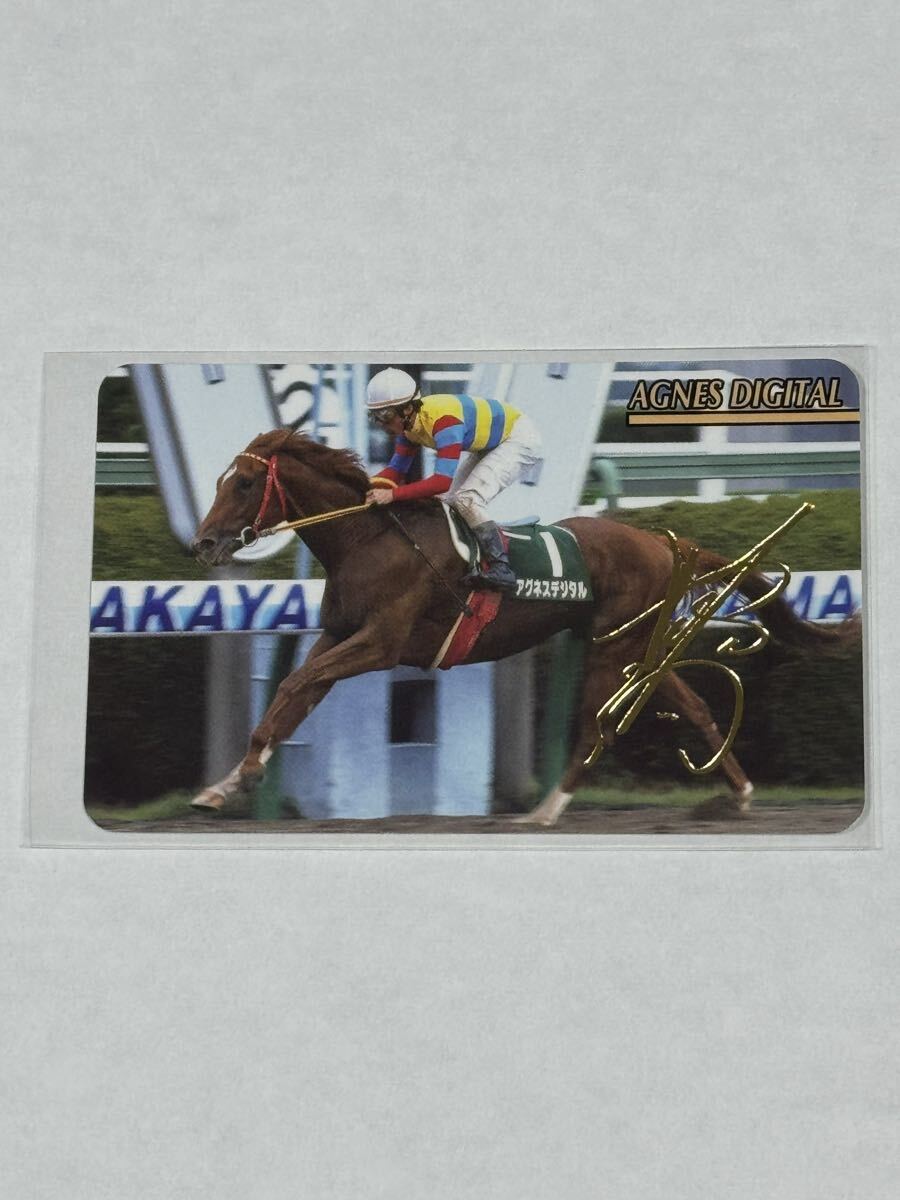 アグネスデジタル 競走馬ぬいぐるみ Sサイズ AVANTI アバンティー 香港
