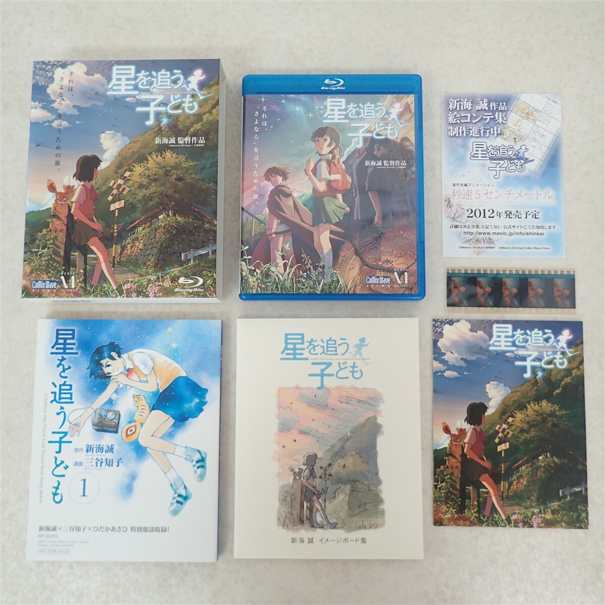 直筆サイン 新海誠】新海誠監督作品 映画パンフレット署名 『星を追う