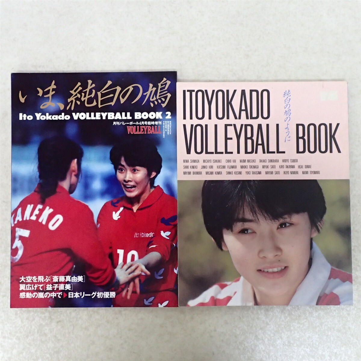 やや傷や汚れあり】☆VHS バレーボール 『全日本女子バレー 継承される