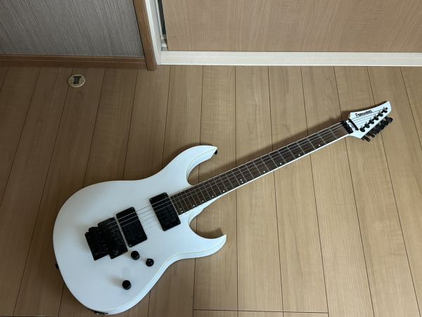 Fernandes APG-100 24フレット 未整備品 レアです！！の落札情報詳細
