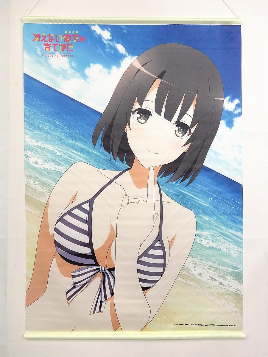 新品】冴えない彼女の育てかた♭ ローソン クリアファイル 3枚セット