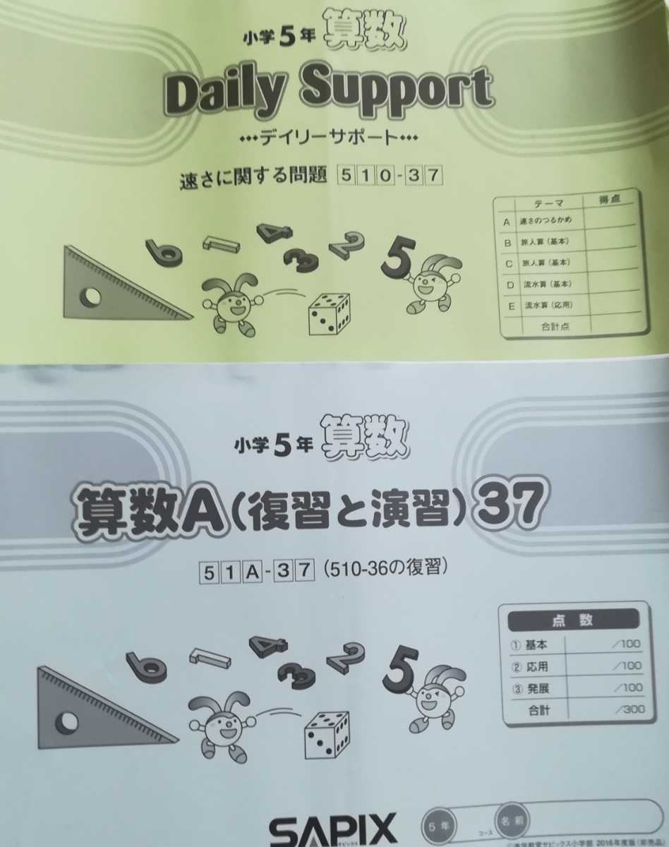 特別セール品】 【美品☆】SAPIX 小5 算数 デイリーサポート (テキスト ...