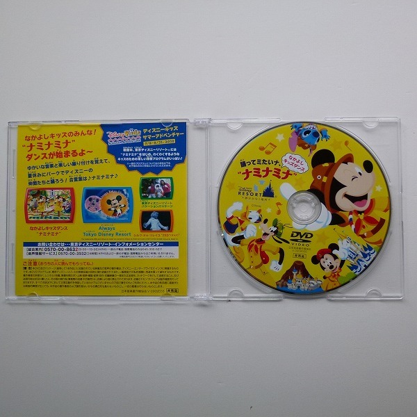 非売品 踊ってみたいな ナミナミナ ディズニー DVD ダンス 非売品 踊ってみたいな ナミナミナ ディズニー DVD ダンス