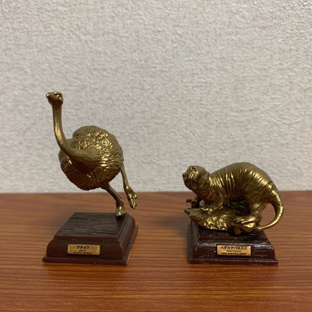 ネイチャーテクニカラー サバンナ ハダカデバネズミ