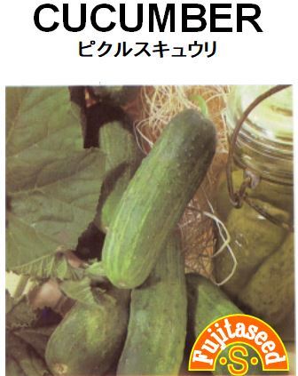 新品 訳あり 発芽試験期限 年10月まで 野菜の種 ピクルス胡瓜 ミニキュウリ きゅうり タネ 漬物に １５粒 ４種郵便７３円 の落札情報詳細 ヤフオク落札価格情報 オークフリー スマートフォン版