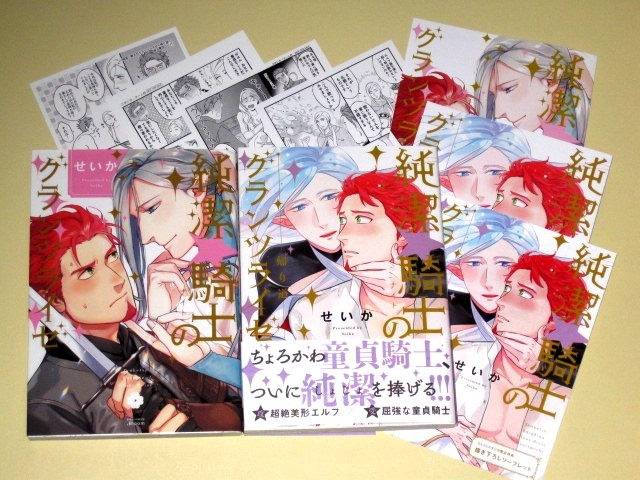 リーフレット３ ペーパー４付 純潔 騎士のグランツライゼ 全２巻 せいか の落札情報詳細 ヤフオク落札価格情報 オークフリー スマートフォン版