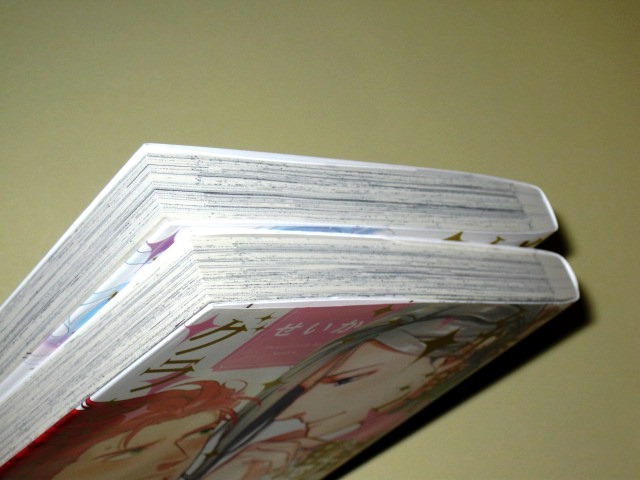 リーフレット３ ペーパー４付 純潔 騎士のグランツライゼ 全２巻 せいか の落札情報詳細 ヤフオク落札価格情報 オークフリー スマートフォン版