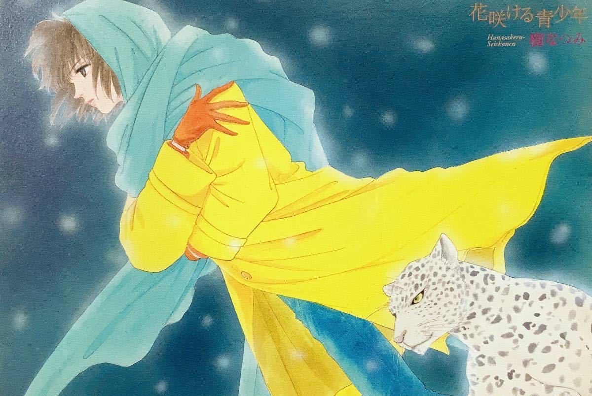 5枚 花咲ける青少年 ポストカード 花鹿 倣立人 ユージィン ルマティ 樹なつみ 白泉社 Lala の落札情報詳細 ヤフオク落札価格情報 オークフリー スマートフォン版