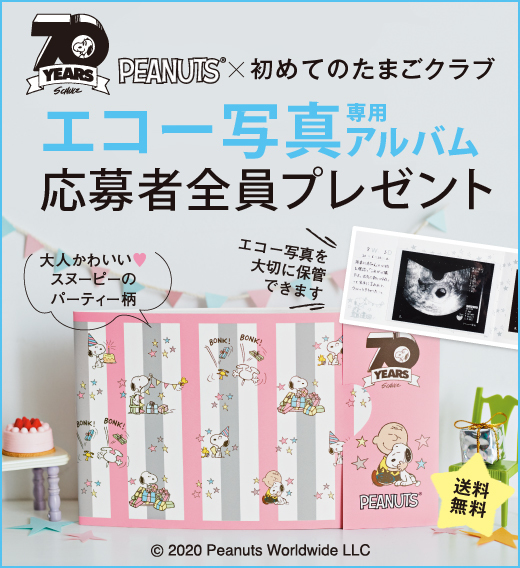 新品 初めてのたまごクラブ スヌーピー エコー写真アルバム 応募者全員プレゼントパスワード 相互評価 送料無料 ポイント 即決 の落札情報詳細 ヤフオク落札価格情報 オークフリー スマートフォン版