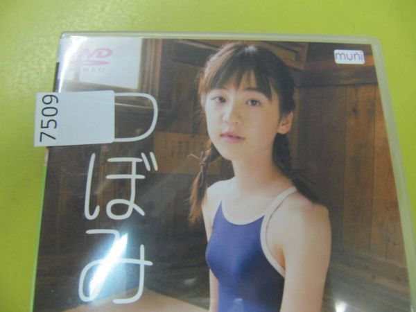 7509 貴重 船岡咲 つぼみ Dvd Gpミュージアム の落札情報詳細 ヤフオク落札価格情報 オークフリー スマートフォン版