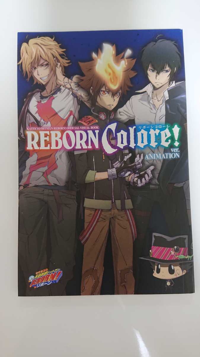 アート・デザイン・音楽 REBORN Colore! ver. ANIMATION ○REBORN Colore! リボーン・コローレ ANIMATION ver. 家庭教師