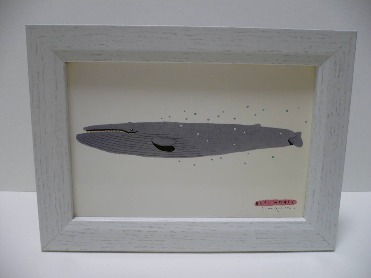 新品 村上康成 イラスト ポストカード 絵葉書 シロナガスクジラ 白長須鯨 クジラ 鯨 額装 新品未使用 インテリア 美術品 レア 希少品 入手困難 の落札情報詳細 ヤフオク落札価格情報 オークフリー スマートフォン版