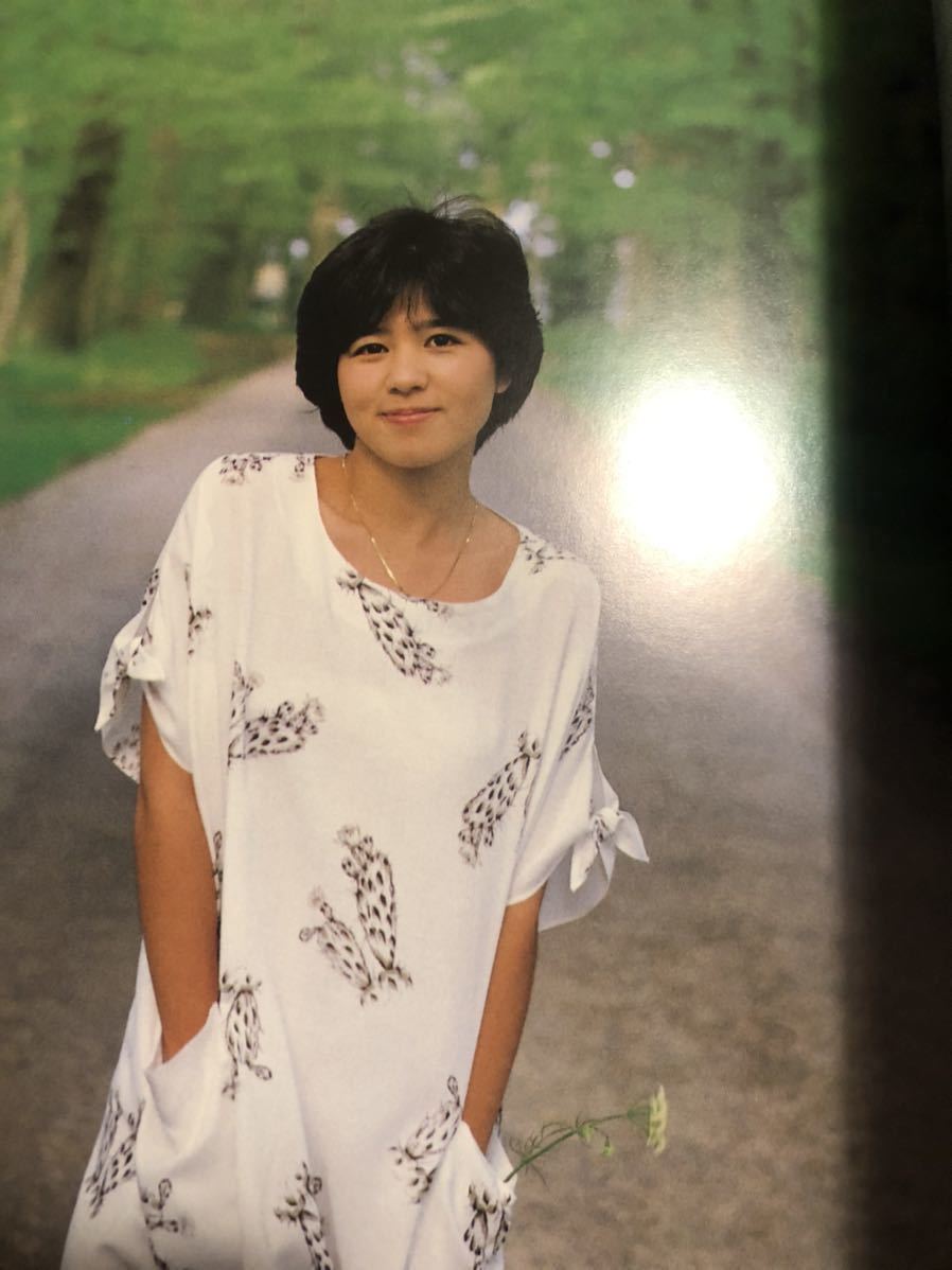 白夜の妖精 プレイボーイアイズ 写真集 石野真子写真集 石野真子