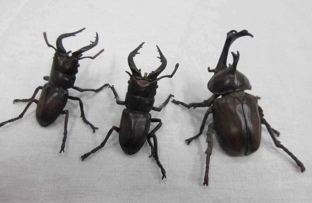 072q641i00 フィギュア リアルな昆虫フィギュア 6体セット セミ トンボ クワガタ 2 カブトムシ カミキリムシ 018 の落札情報詳細 ヤフオク落札価格情報 オークフリー スマートフォン版 072q641i00 フィギュア リアルな昆虫フィギュア 6体セット セミ トンボ クワガタ 2 カブトムシ カミキリムシ 018 の落札情報詳細 ヤフオク落札価格情報 オークフリー スマートフォン版