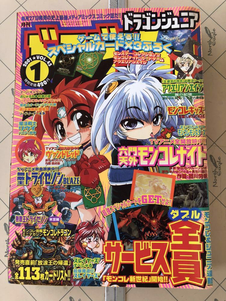 2001年1月号 月刊ドラゴンジュニア ドラゴンJr. マンガ雑誌 1円