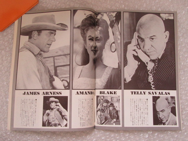 テレビジョンエイジ 昭和51年4月1日発行 Sf新シリーズ スオペース1999 謎の円盤 Ufo リー メジャース ザ モンキーズ の落札情報詳細 ヤフオク落札価格情報 オークフリー スマートフォン版