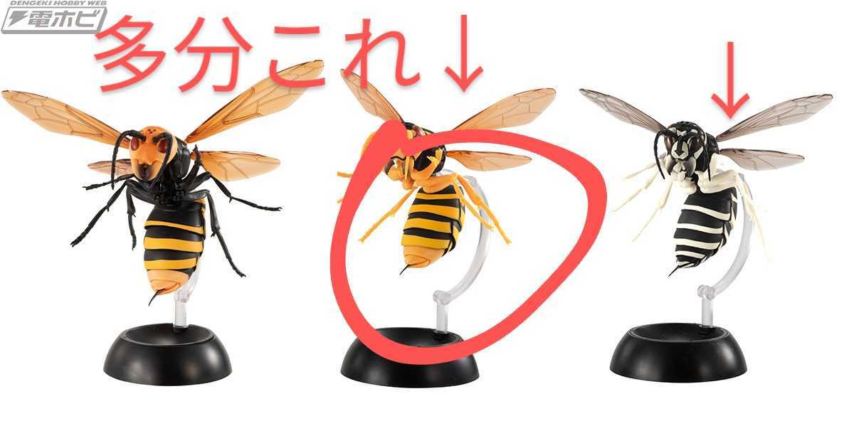 オオスズメバチ キイロスズメバチ クロスズメバチいきもの大図鑑すずめばち Amazon | いきもの大図鑑 すずめばち01 全3種類 オオスズメバチ