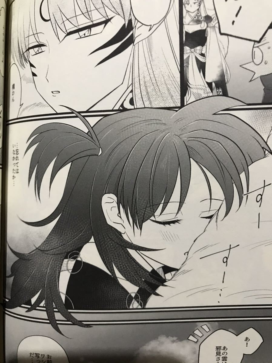 犬夜叉 殺りん 殺生丸 りん 患い在りん 夏の月 の落札情報詳細 ヤフオク落札価格情報 オークフリー スマートフォン版