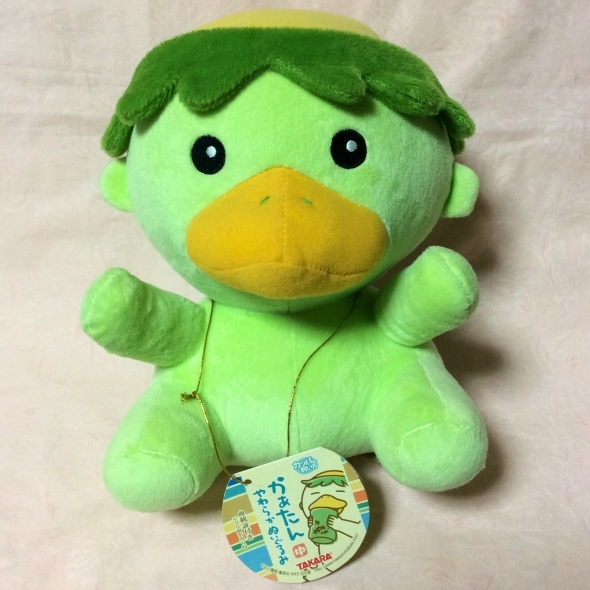送料510円～ 約24cm タカラ 中サイズ ☆血統証付き ※紙タグ紐の
