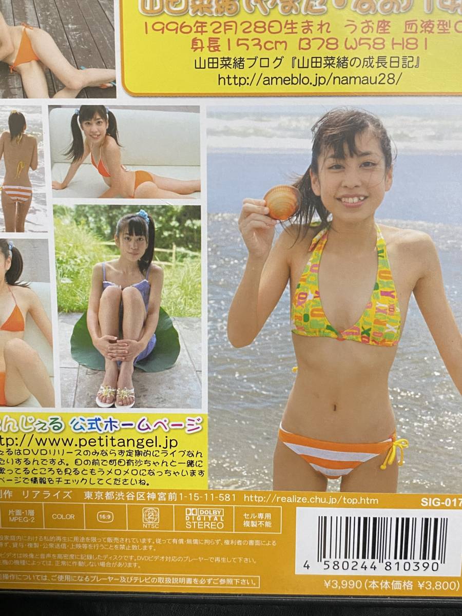 町田有沙 山田菜緒 ぷちえんじぇる でゅお DVD  町田有沙 山田菜緒 ぷちえんじぇる でゅお DVD