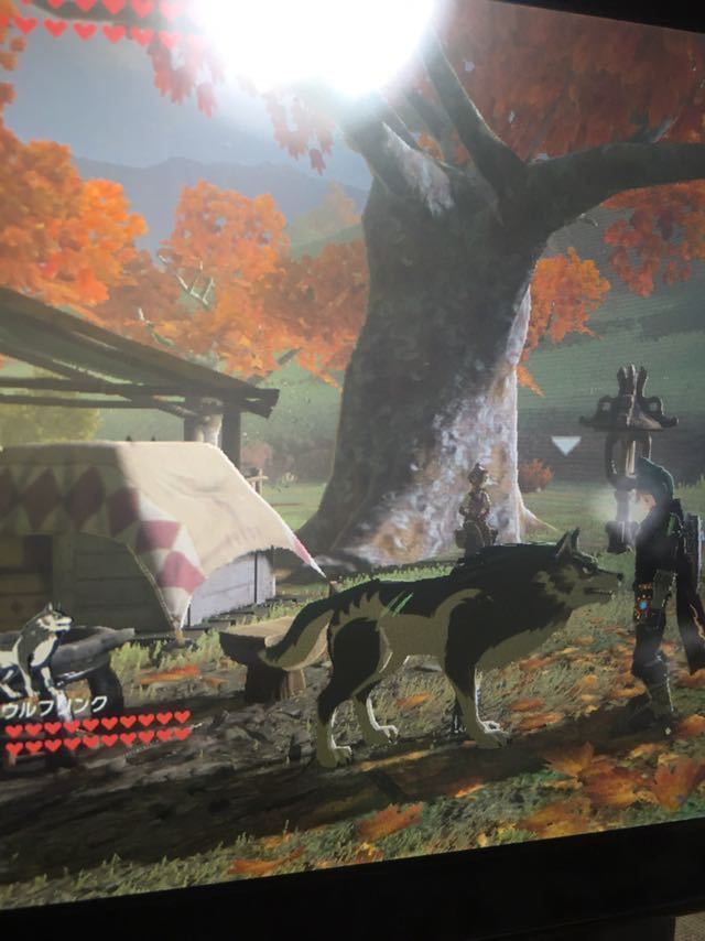 品質検査済 任天堂 アミーボ ウルフリンク ハート ゼルダの伝説 ブレスオブザワイルド 家庭用ゲームソフト Labassinebirthpools Com