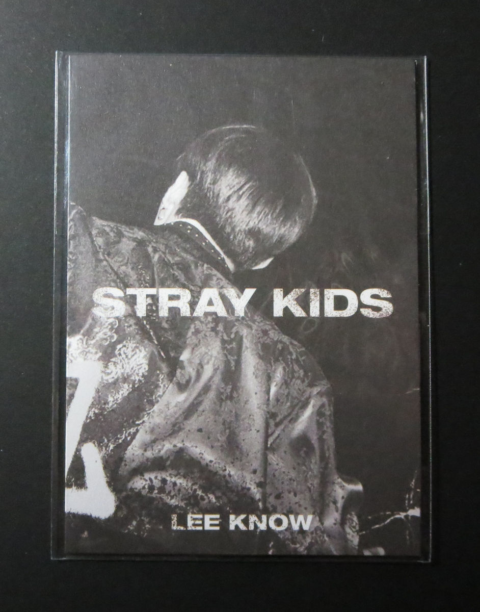 新品】Stray Kids IN生 先着購入特典 ミニフォトブック トレカ フォト