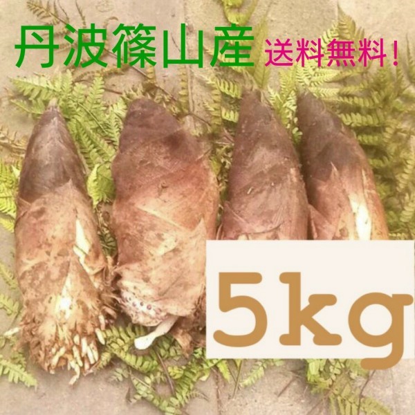 新品 送料無料 朝採れ 丹波篠山産 タケノコ 5kg たけのこ 筍 竹の子 の落札情報詳細 ヤフオク落札価格情報 オークフリー スマートフォン版 新品 送料無料 朝採れ 丹波篠山産 タケノコ 5kg たけのこ 筍 竹の子 の落札情報詳細 ヤフオク落札価格情報 オークフリー スマートフォン版