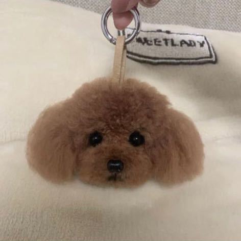 はハサミで 動物ぽんぽん プードル レッドの通販 By Amane ラクマ ください Shineray Com Br