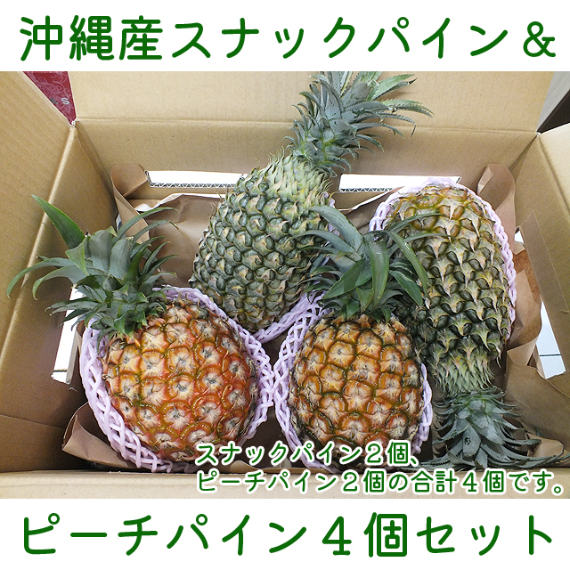 新品 送料込 沖縄 八重山産スナックパイン ポコットパイン ピーチパイン４個セット ボゴールパインはポコットパインに改名しました の落札情報詳細 ヤフオク落札価格情報 オークフリー スマートフォン版