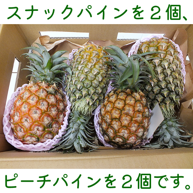 新品 送料込 沖縄 八重山産スナックパイン ポコットパイン ピーチパイン４個セット ボゴールパインはポコットパインに改名しました の落札情報詳細 ヤフオク落札価格情報 オークフリー スマートフォン版
