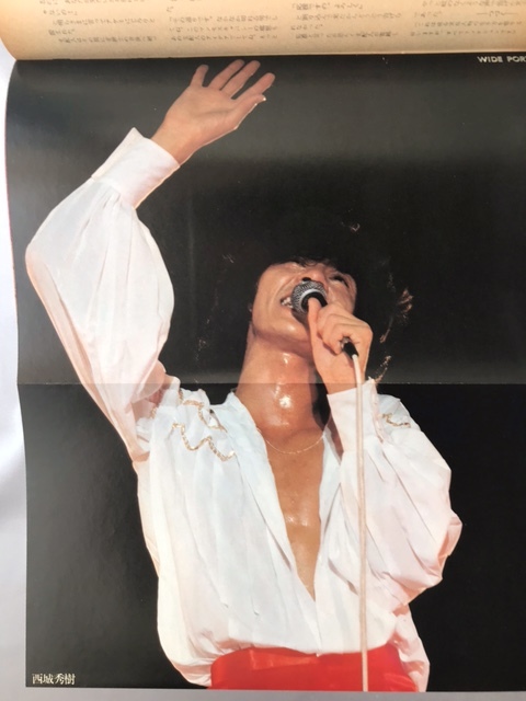 週刊明星2冊 昭和54年 西城秀樹 ブルック シールズ 上月晃 朝比奈マリア 沢田研二 アリス 矢沢永吉 山口百恵 桜田淳子 柴田恭兵 の落札情報詳細 ヤフオク落札価格情報 オークフリー スマートフォン版