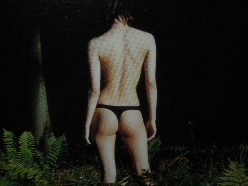 写真集 上原多香子 Vingt Takako 19歳セミヌード 2003年定価3080円