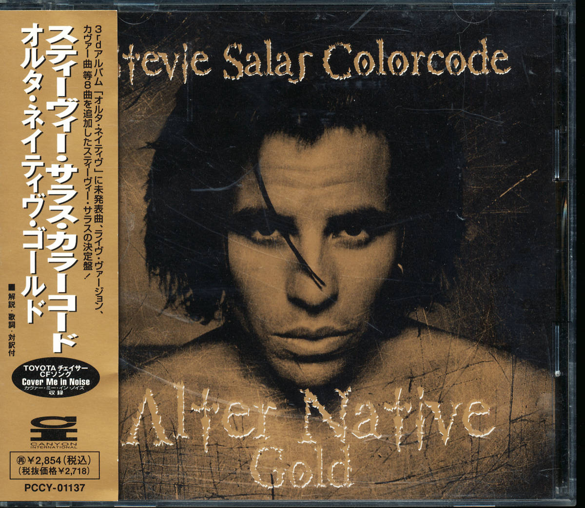 スティーヴィーサラス カラーコード スーパーベスト バンドスコア タブ譜 スティーヴィー・サラス(STEVIE SALAS COLORCODE) / START AGA