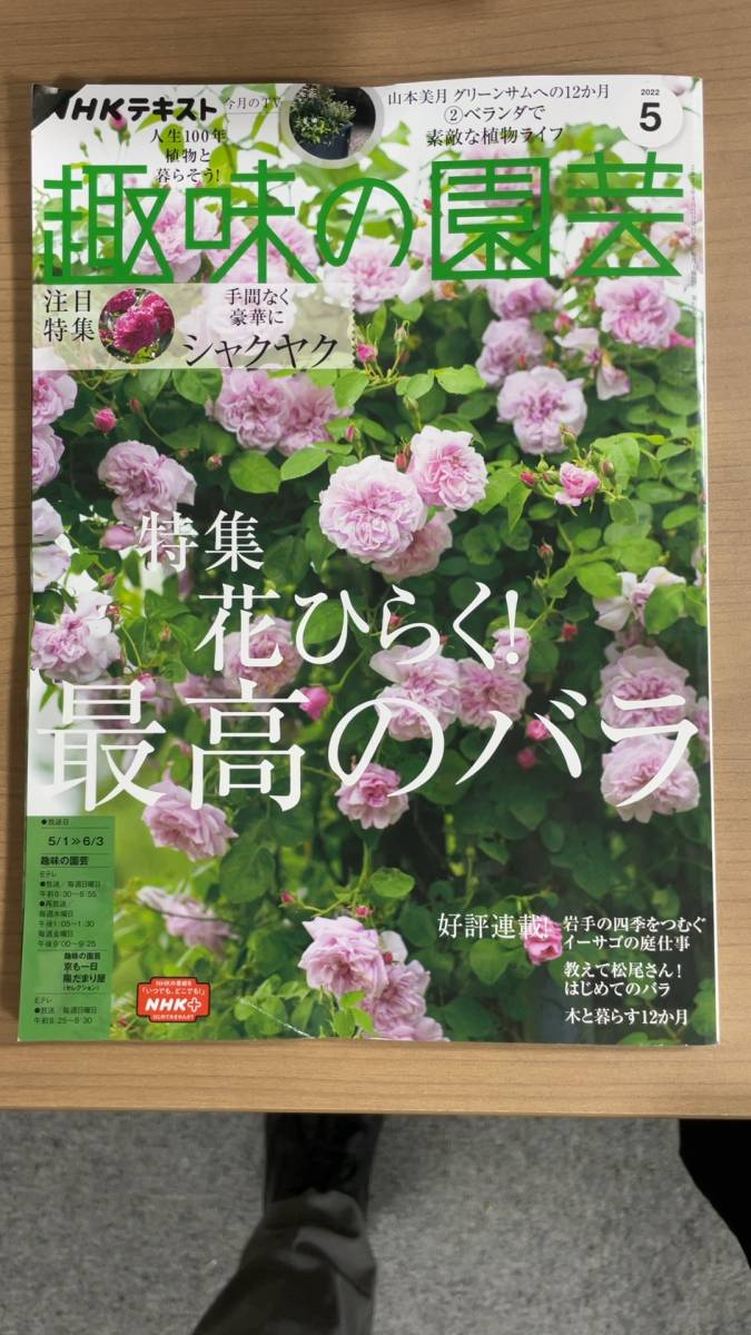 即出荷 ふるさと切手 浜名湖花博 カーネーション 静岡県 Folhadetangara Com Br