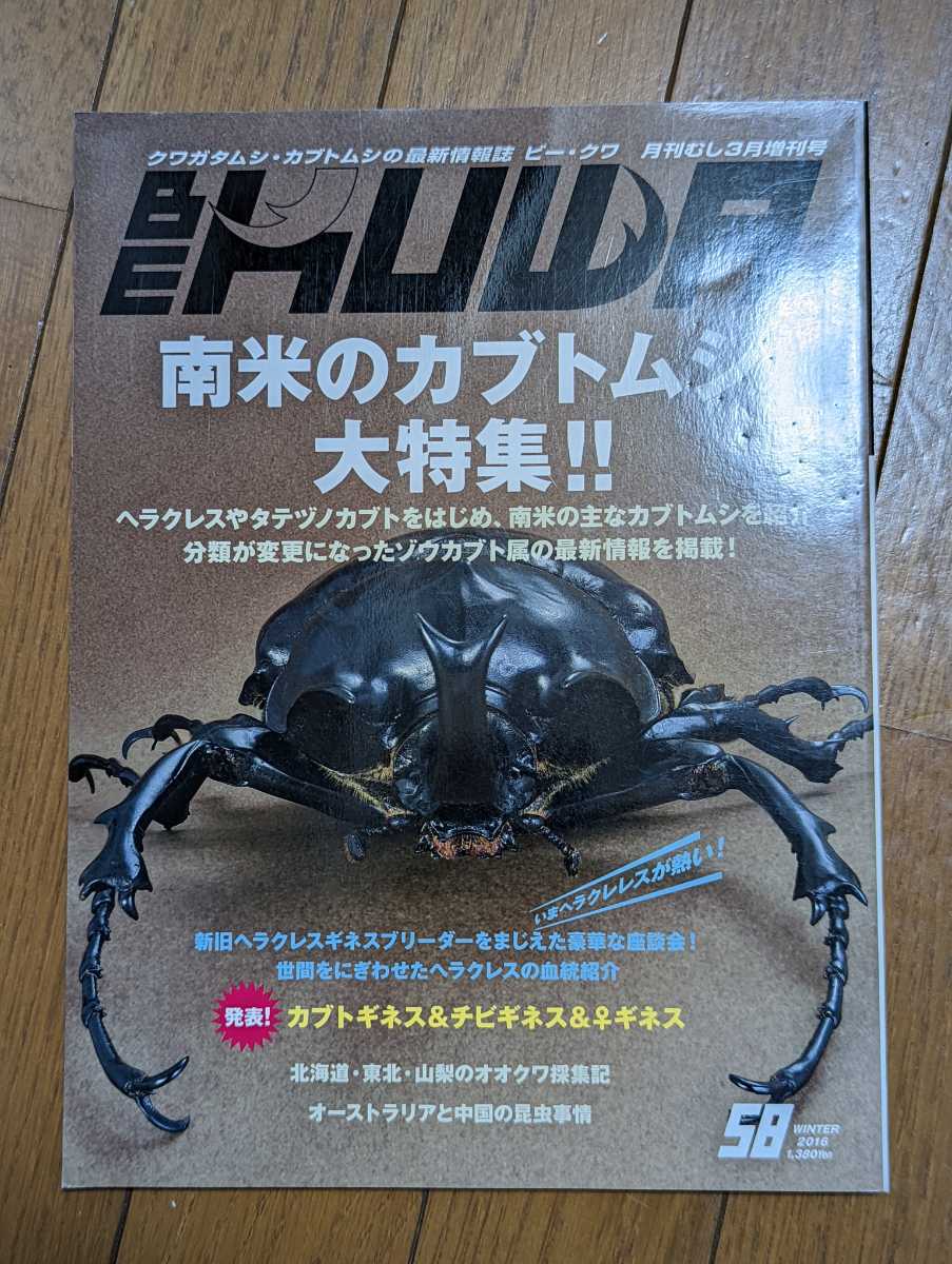 ビークワ2 ビークワ BEKUWA 1〜43 ビークワ87号(BE・KUWA ビークワ2 ビークワ BEKUWA 1〜43 ビークワ87号(BE・KUWA