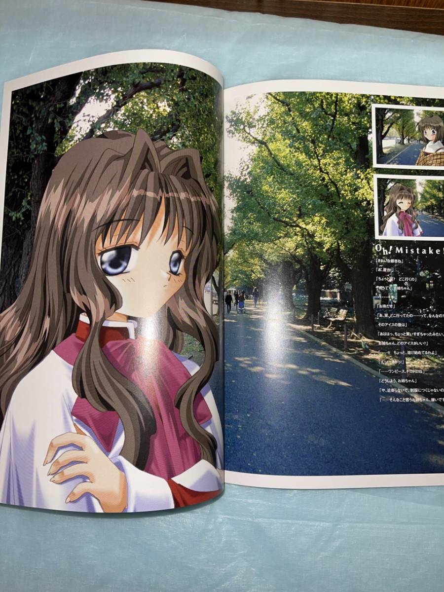 Air Kanon key ビジュアルアーツ　麻枝准　クリアファイル　グッズ Keyの名作】「Kanon」ヒロイン・月宮あゆをモチーフにした