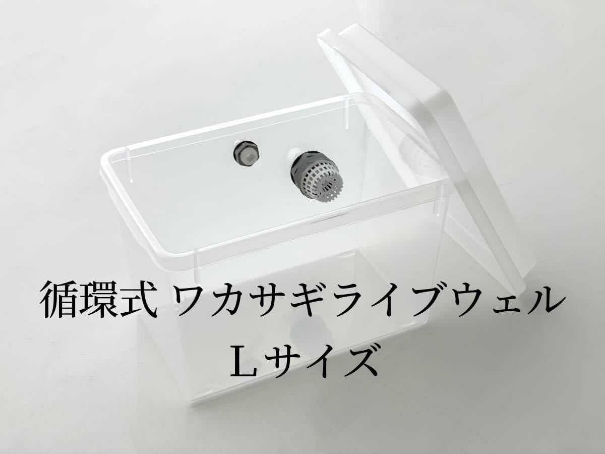 【未使用】01 循環式 ワカサギ釣り用 ライブウェル Lサイズ USBモバイルバッテリー 検索 バッカン 穂先 リール ダイワ バリバス の