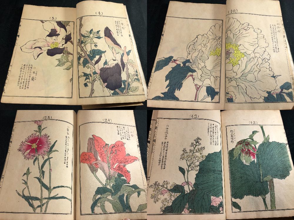 草花百種 幸埜楳嶺 山田芸艸堂 和装本 明治34年 彩色木