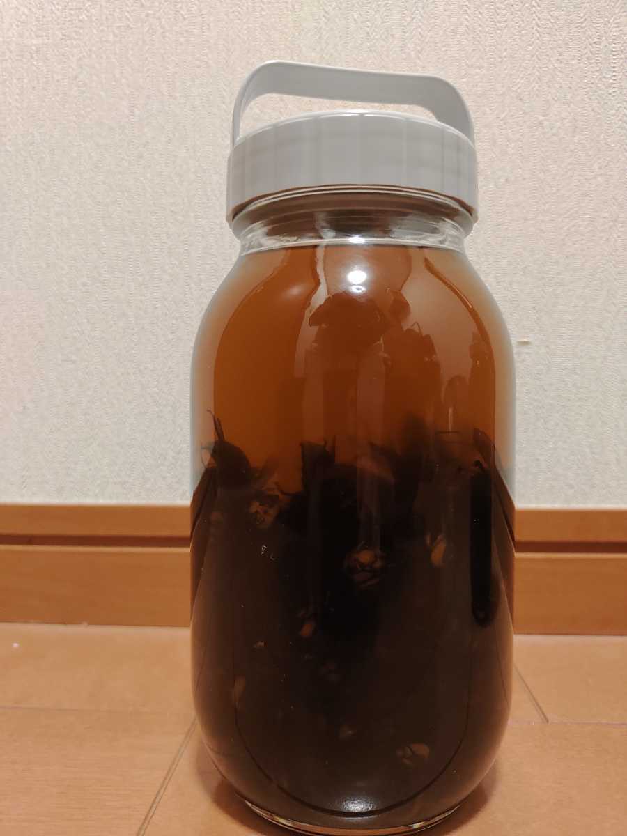 天然 オオスズメバチ 50匹 焼酎 900ml 5合 スズメバチ 焼酎漬け 蜂酒 200ml | 蜂酒-オオスズメバチの焼酎漬け販売｜あつたや