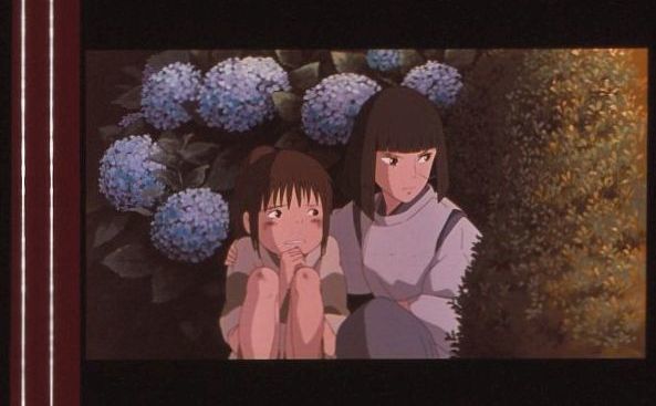 目立った傷や汚れなし】千と千尋の神隠し 35mm映画フィルム 宮崎駿 柊