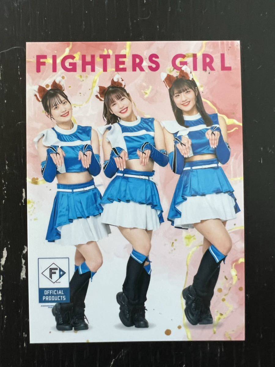 未使用】限定絵柄 レア トレカ ファイターズガール きつねダンス
