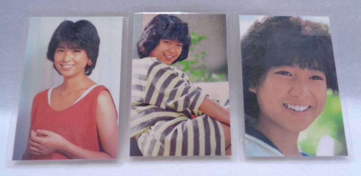 柴田恭兵 ラミネートカード 当時物 80年代 ブロマイド 写真の落札情報