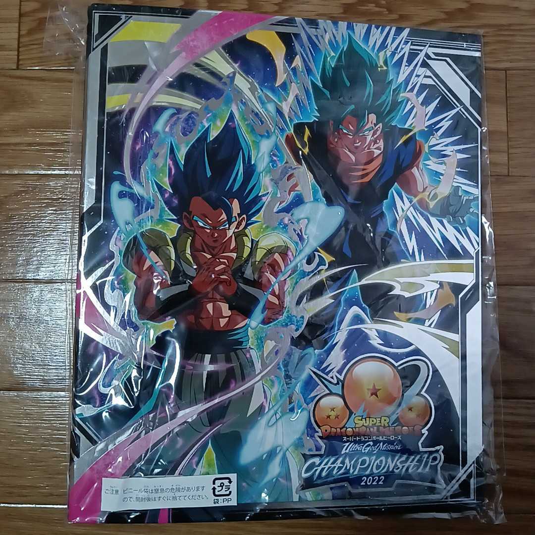未使用】【未使用】チャンピオンシップ2022 バインダー のみ