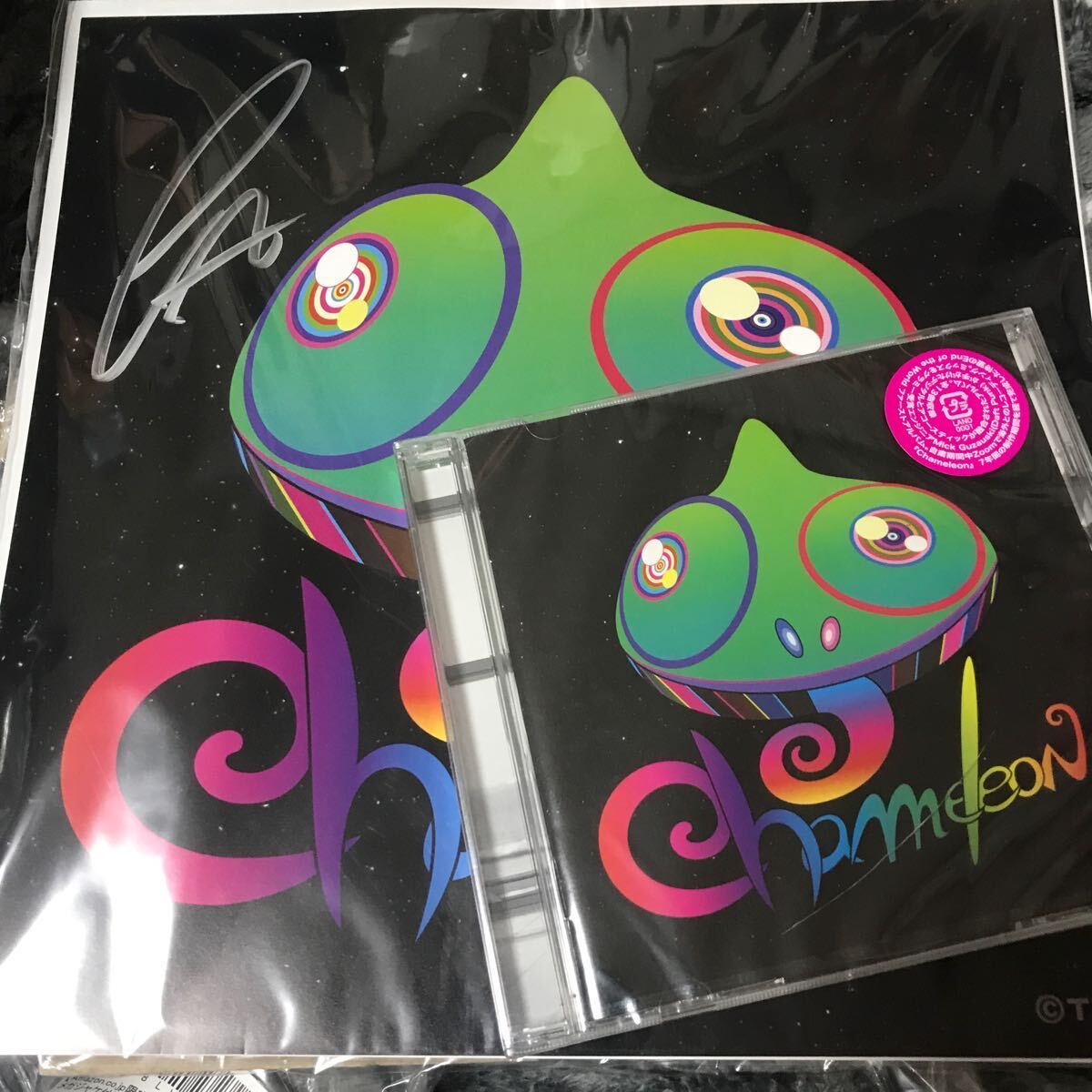 ◇1000円スタート SEKAI NO OWARI End of the World Chameleon LP