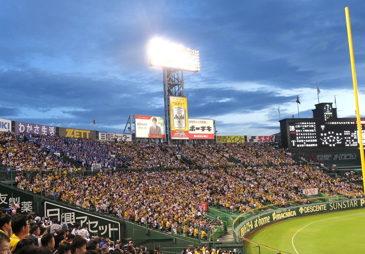 9/6(土) 阪神vs広島 レフト外野指定 2枚連番 甲子園球場 9/5(金) 阪神