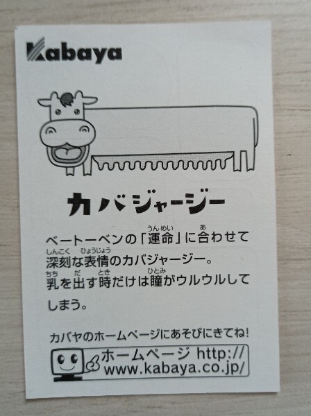 未使用】カバヤ Kabaya カバヤギ カバガラス カバジャージー カバウマ
