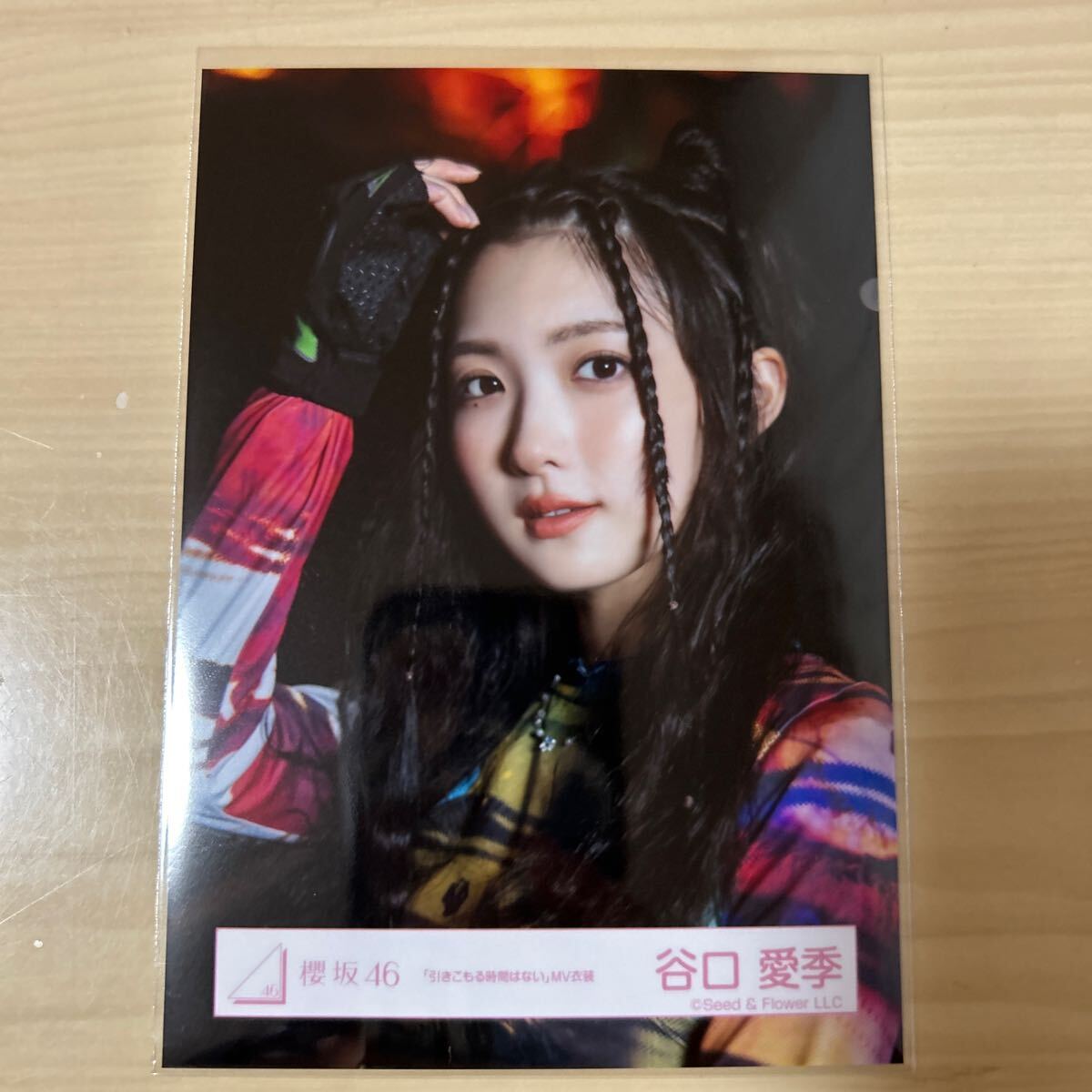 櫻坂46 谷口愛季 直筆サイン入り生写真 2024年クリスマスサンタ衣装 櫻坂46 谷口愛季 直筆サイン入り生写真 2024年クリスマスサンタ衣装